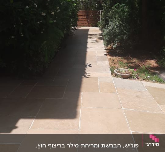 שביל מרוצף נקי עם צללים ועציצים